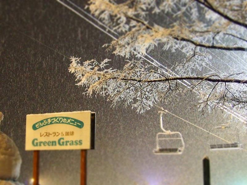 Pension & Restaurant Green Grass Хакуба-Мура Экстерьер фото